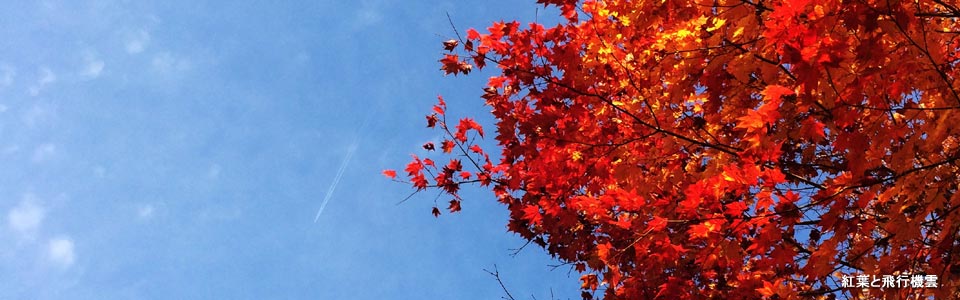 紅葉と飛行機雲
