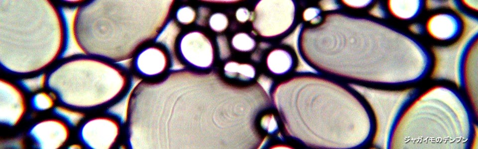 ジャガイモのデンプン